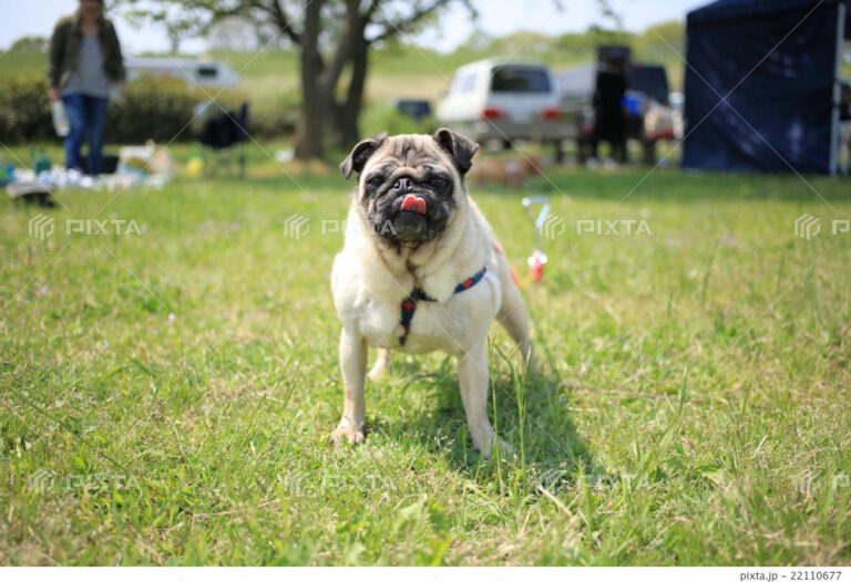 詳細　画像複数