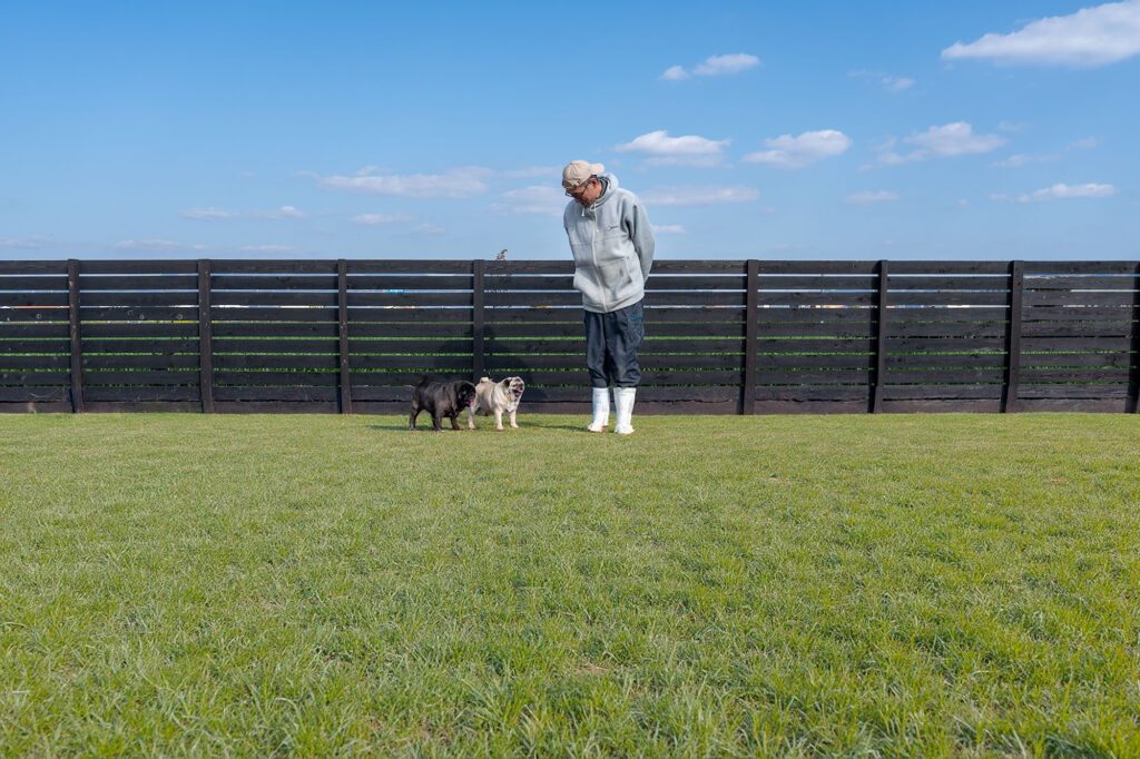福岡でパグ、マルチーズを中心にしている犬舎です